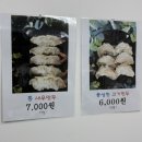 수영역만두 맛집 강희네 수제만두 포장 솔직후기