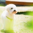 총각