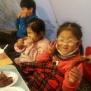 산으로간니모 이미지