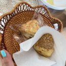 양덕동132 | 포항 프리미엄 디저트 카페 양덕 스콘 맛집 아비가일스