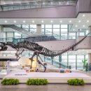 서대문자연사박물관 이미지