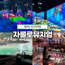 판타지아트뮤지엄 | 제주도 미디어아트 실내관광지 자롤로뮤지엄 방문 후기!