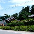 담안소류지 네이버블로그