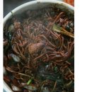 반점 이미지