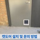 분당캣 | 캣도어 설치 및 문의 방법