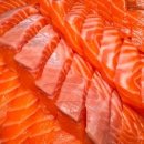 브랜든리심포니콘서트 이미지