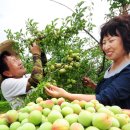 김연화농장 이미지