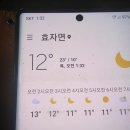 더덕 산행.34 (늦음) 이미지