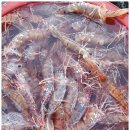 싱싱농수산 이미지