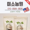 설탕가루