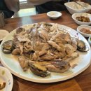 너와골 | 20240831