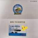 독도는 우리땅 | 독도는 우리 땅, 직접 보고 온 감동 여행기 🌊 독도 여행 명예주민증부터 바위 절경 이야기