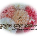 파리바게뜨평내 이미지