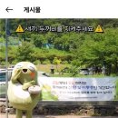 두꺼비 이미지
