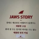죠스떡볶이 운양역점