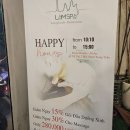 람스헤어 이미지