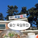울산해변횟집 | 울산 주전해변 물회맛집 ‘육일횟집’ 평일 방문후기