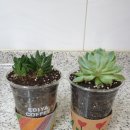 당진북부사회복지관 이미지