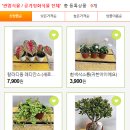 범수농장 네이버블로그