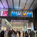 6145 | 도쿄 야경 시부야 스카이 전망대 가격, 예약, 방문후기