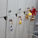 정규동의 웰빙건강 이미지