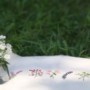 자연앤팜 이미지