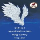 카티모 - 전주시 덕진구 호성1길 7 | 카티모