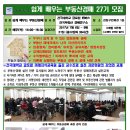 부동산경매(오후) 이미지