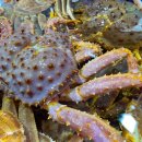 대신수산식당 이미지