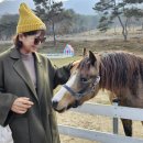 호정목장 이미지