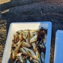 화수분민박 이미지