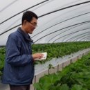 최종명 농장 이미지