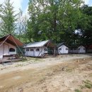 숲들내캠핑장 이미지