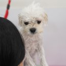 이뻐질개 이미지