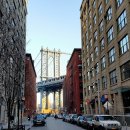 Dumbo 이미지