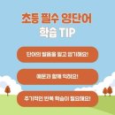 최쌤영어