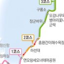 제1.695차 6월18일 포항 영일만 호미반도 해안트레킹 예약방 이미지