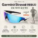 메타디자인 | 대전 오클리 메타 뱅가드, AI 안경 후기 - 둔산동 유럽안경
