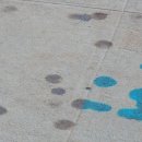 비스트리트 이미지