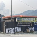 젠틀펫 이미지