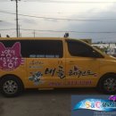 용인대 버들 태권도 이미지