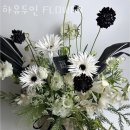 하유두인