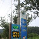 곰취향 가득한 팔랑골 캠핑장 이미지