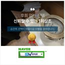 성산현대요양병원 | 성산현대요양병원장례식장 비용 장례예절로 담담히 이어진 이별의 하루