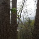 방글농장 이미지