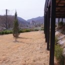 부동산정보공인중개사사무소 이미지