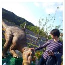 일성농장 이미지