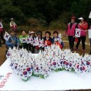 강남-224 이미지