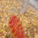 나루무인텔 | 1박2일 충청도 여행 ÷ 충주 가을 여행