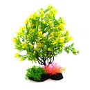 아쿠아테라 수족관 이미지